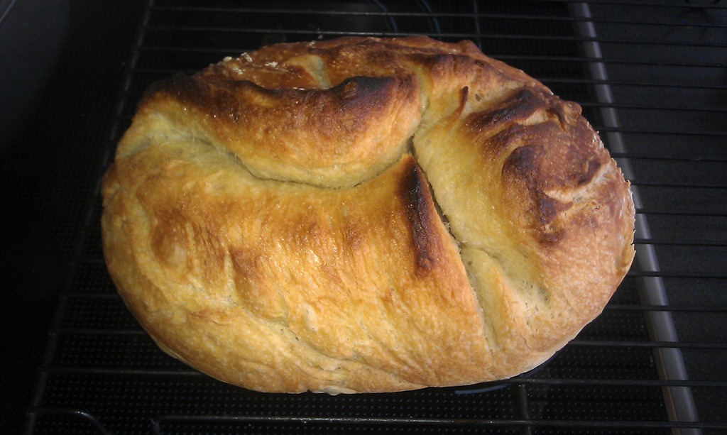 IMAG0125